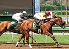 Masochistic Grabs First Stakes in Kona Gold Masochistic Grabs First Stakes in Kona Gold