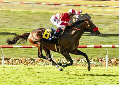 Acclamation and jockey Joel Rosario win the Grade I, $300,000 Eddie Read Stakes, Saturday, July 23, 2011 at Del Mar.