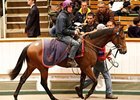 Lot 377, Black Granite, sold for 155,000 guineas on Oct. 27.
