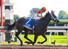 My Conquestadory, winning the Alcibiades.
