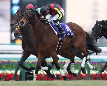 Gentildonna wins the 2014 Arima Kinen.