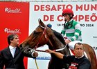 Jockey Champions Challenge of Brazil Jockey Champions Challenge of Brazil