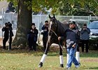 Zenyatta arrives at Churchill Downs Zenyatta arrives at Churchill Downs