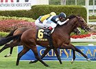War Correspondent closes strongly to win the Appleton Stakes.<br><a target="blank" href="http://photos.bloodhorse.com/AtTheRaces-1/At-the-Races-2015/i-sp4jb7v">Order This Photo</a>