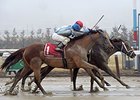 Mamdooha gets her head in front at the wire to take the Correction Stakes<br><a target="blank" href="http://photos.bloodhorse.com/AtTheRaces-1/At-the-Races-2015/i-k5VbpzR">Order This Photo</a>