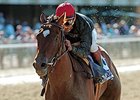 Smuggler Dies From Foaling Complications Smuggler Dies From Foaling Complications
