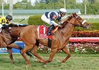 Main Sequence is one of 74 horses nominated to the Woodford Reserve Turf Classic.
<br><a target="blank" href="http://photos.bloodhorse.com/AtTheRaces-1/At-the-Races-2015/i-5fJP5pR">Order This Photo</a>