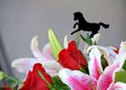 Oaks Lillies and Derby roses in an arrangement
works and scenes at Churchill Downs near Louisville, Ky. on April 30, 2013, during Kentucky Derby and Kentucky Oaks week.
2Works4_30_13 image0001
Photo by Anne M. Eberhardt