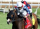 Dramedy and Joe Bravo lead the way in the Elkhorn Stakes.