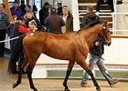 Seamour (IRE), Lot 1436, was purchased for 110,000 guineas.