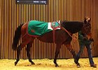 The sale's highest price came on opening day, Dec. 7, when Darysina went for €800,000.