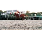 Turfway Park