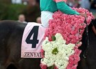 Zenyatta - 2010 Apple Blossom Zenyatta - 2010 Apple Blossom