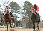 Take Charge Brandi (left) gets the victory in the Martha Washington over Sarah Sis.