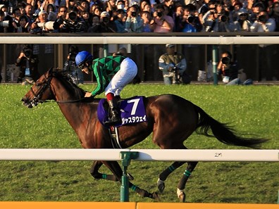 Just a Way unleashed an explosive burst of speed 400 meters out and romped away to win the Tenno Sho (Autumn) (Jpn-I) Oct. 27, 2013 overwhelming Japan's reigning Horse of the Year Gentildonna and last year's winner, Eishin Flash. Gentildonna finishes 2nd in the race.