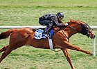 Hip No. 53, a colt by Kitten's Joy -- Mother Russia, by Mayakovsky.