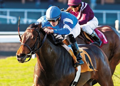 Godolphin Racing's Better Lucky and Eddie Castro capture the $250,000 Grade I Matriarch Stakes on November 25, 2012 at Betfair Hollywood Park.