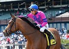 La Verdad
<br><a target="blank" href="http://photos.bloodhorse.com/AtTheRaces-1/At-the-Races-2015/i-tWG4wSz">Order This Photo</a>