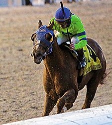 Derby Contender War Story Works at Churchill Derby Contender War Story Works at Churchill