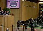 Hip 842, a War Front colt out of the Grindstone mare Stone Hope, sold for $850,000 on Nov. 6.