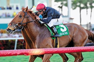 Reload charged up the rail and snatched victory from pacesetter Mr. Online in the $150,000 Grade III Canadian Turf Handicap at Gulfstream Park.