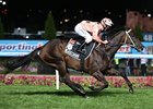 Black Caviar rolls home to win number 24 in the Hacer Group William Reid Stakes.
