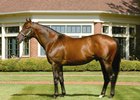 Saratoga Sires by Earning Potential Saratoga Sires by Earning Potential