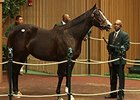 Broadway's Alibi, Hip 96, sold for $2,150,000 on Nov. 5.