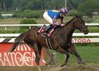 Piedras Negras, the dam of La Traviata (pictured), will be offered at the upcoming Barretts fall sale
