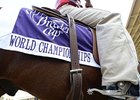 <br><a target="blank" href="http://photos.bloodhorse.com/BreedersCup/2012-Breeders-Cup/Sights-and-Scenes/26243087_Zz7HNL#!i=2192344937&k=H6nzx64">Order This Photo</a>