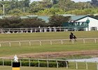 Optimism Reigns at Fasig-Tipton Sale Monday Optimism Reigns at Fasig-Tipton Sale Monday
