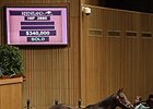 Barbados brought $340,000 at the Keeneland November breeding stock sale Nov. 11.