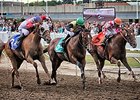 Racing at Northlands Park, the province's major racetrack, is located in Edmonton about three hours north of Calgary.
