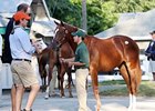 Keeneland September Sale