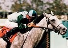 Fastness