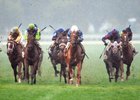 Free as a Bird battles down the stretch in the pouring rain to win the Buffalo Trace Franklin County Stakes at Keeneland.