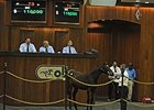 Hip 73, a weanling filly by Kitten's Joy, sold for $110,000.