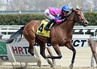 La Verdad will make her 6-year-old debut in the Interborough.<br><a target="blank" href="http://photos.bloodhorse.com/AtTheRaces-1/At-the-Races-2015/i-c4p8G7F">Order This Photo</a>