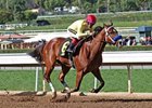 Masochistic will make his graded stakes debut in the Kona Gold.
