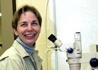 Equine Reproduction Specialist LeBlanc Dies Equine Reproduction Specialist LeBlanc Dies