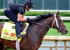 Derby Runner-Up Commanding Curve Retired Derby Runner-Up Commanding Curve Retired