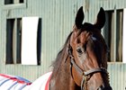 Big Macher in 2014
