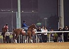 Dubai Trackwork Notes, March 27 Dubai Trackwork Notes, March 27