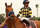 Misremembered Moves to BG Thoroughbreds Misremembered Moves to BG Thoroughbreds
