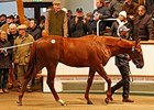 Lot 175 by Lope de Vega (IRE) out of Princess Serena (USA).