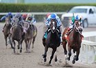 FL Derby Day Sets Handle Record FL Derby Day Sets Handle Record