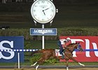 California Chrome
<br><a target="blank" href="http://photos.bloodhorse.com/AtTheRaces-1/At-the-Races-2015/i-Xjqh4Zp">Order This Photo</a>