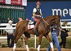 California Chrome<br><a target="blank" href="http://photos.bloodhorse.com/AtTheRaces-1/At-the-Races-2015/i-tgb6khW">Order This Photo</a>