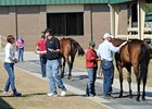 OBS Sale