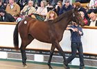 A Galileo full sister to 2012 Epsom Oaks winner Was sold for 5 million guineas at the Tattersalls October yearling sale.